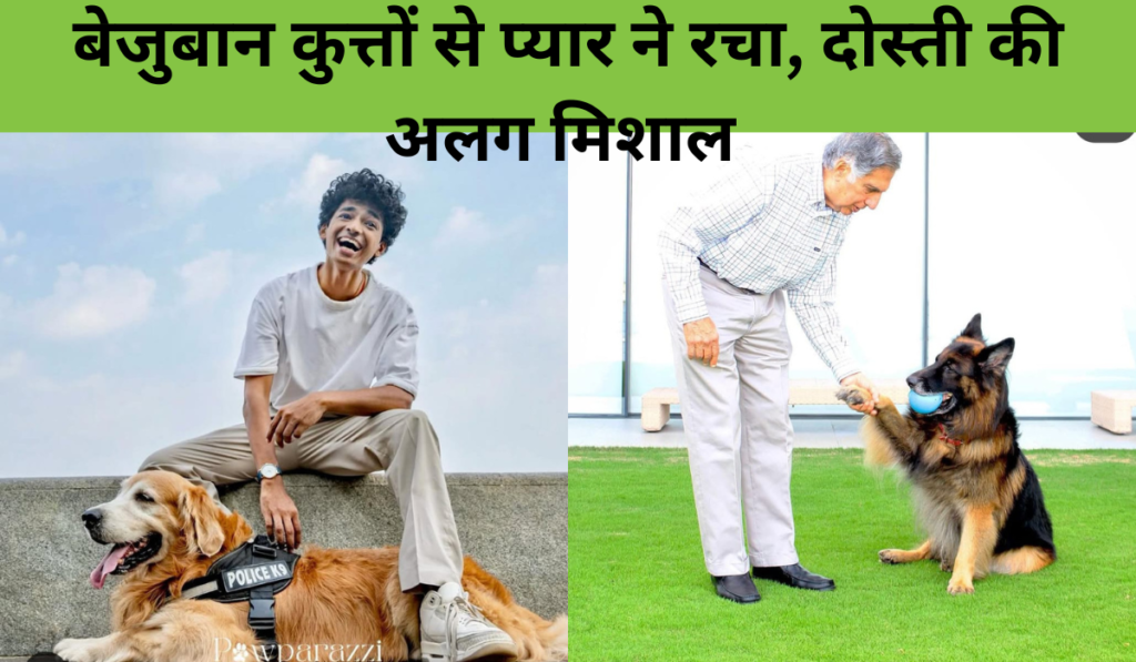 Ratan Tata Friend Shantanu Naidu Love Dogs